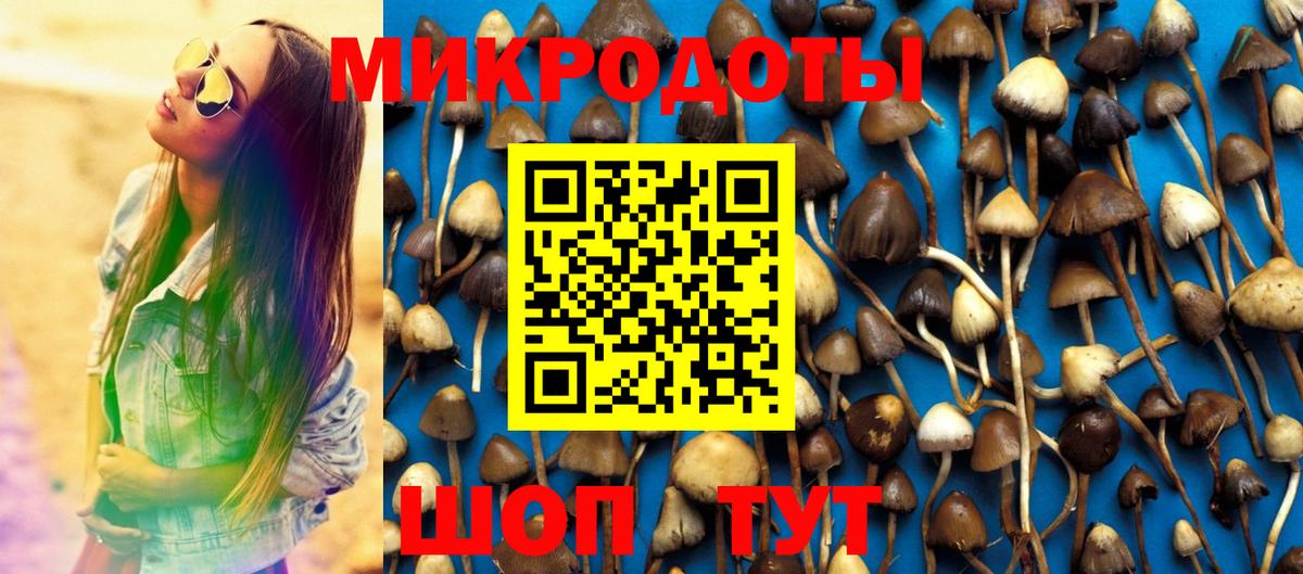 Луховицы  Галлюциногенные грибы прущие грибы  Вход с VPN 